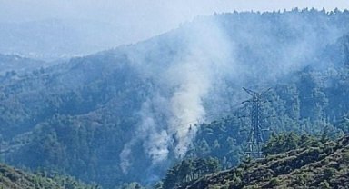 Hatay’da orman yangını