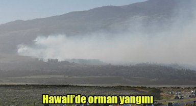 Hawaii’de orman yangını