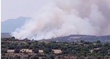 İzmir'de makilik alanda yangın: Havadan ve karadan müdahale ediliyor.