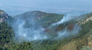 İzmir'deki orman yangını kontrol altında