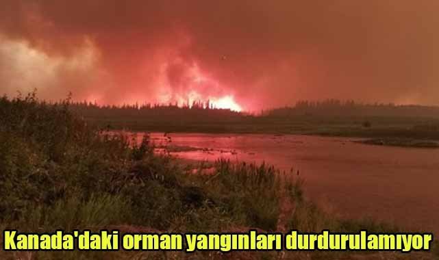 Kanada'daki orman yangınları durdurulamıyor