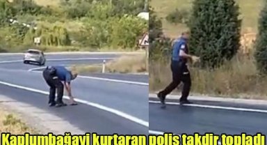 Kaplumbagayi kurtaran polis takdir topladi