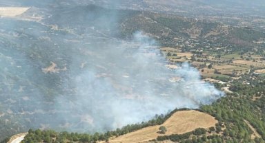 Ödemiş'teki orman yangını kontrol altında