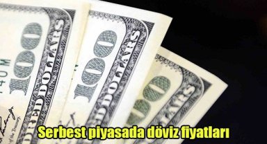 Serbest piyasada döviz fiyatları