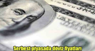 Serbest piyasada döviz fiyatları