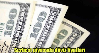Serbest piyasada döviz fiyatları