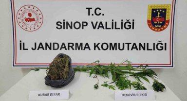Sinop’ta uyuşturucu operasyonu