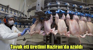 Tavuk eti üretimi Haziran’da azaldı