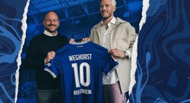 Wout Weghorst, Hoffenheim’da