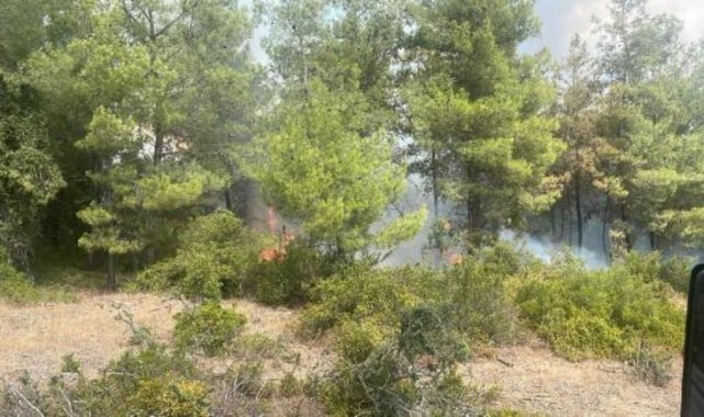 Adana'da 4 dönüm kızılçam ormanı yandı