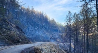 Alanya'da çıkan orman yangını devam ediyor