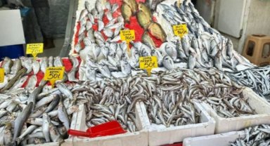 Av yasağı kalktı: Tezgahlar dolup taştı