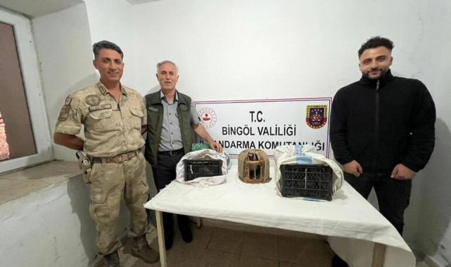 Bingöl&#039;de yasadışı keklik avına 34 bin TL ceza