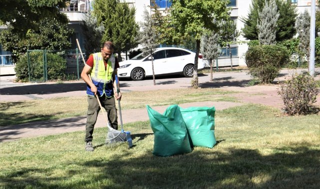 Bornova Belediyesi’nden parklara titiz bakım