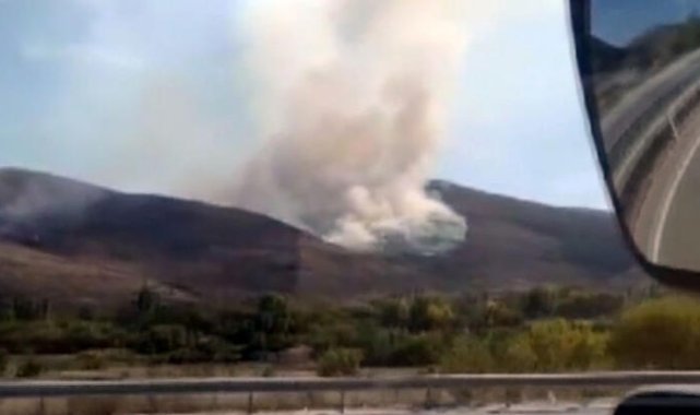 Çankırı'da ağaçlık alanda yangın