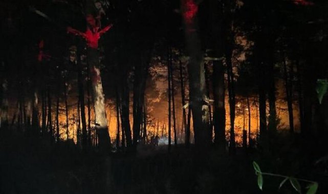 Çekmeköy&#039;de orman yangını