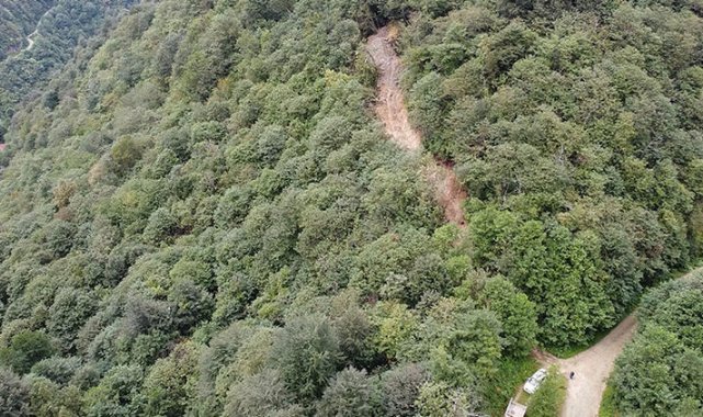 Define için ormana iş makinesiyle yol açtılar