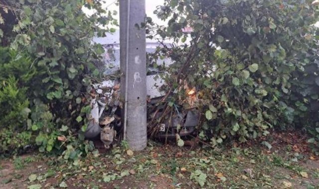 Fındık işçilerini taşıyan minibüs direğe çarptı
