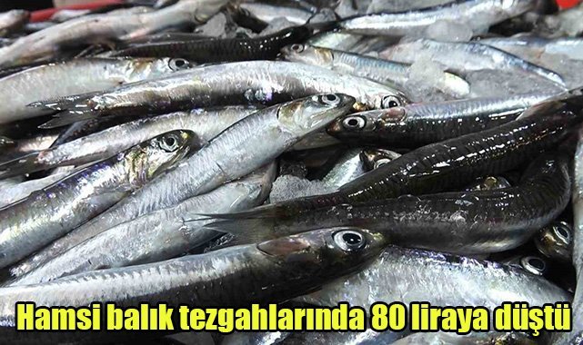 Hamsi, balık tezgahlarında 80 liraya düştü