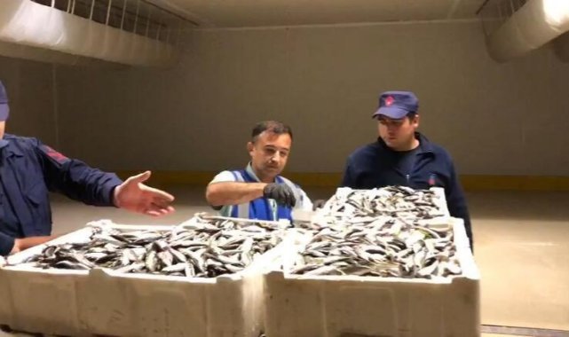 İstanbul'da boy yasağına aykırı avlanan 3 ton istavrite el konuldu