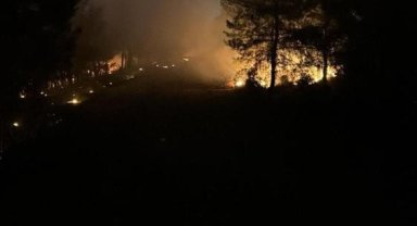 İzmir'de ormanlık alanda yangın