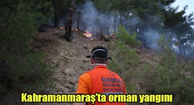 Kahramanmaraş'ta orman yangını