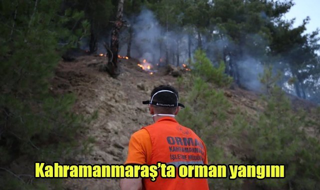 Kahramanmaraş'ta orman yangını
