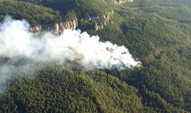 Karabük’te orman yangını