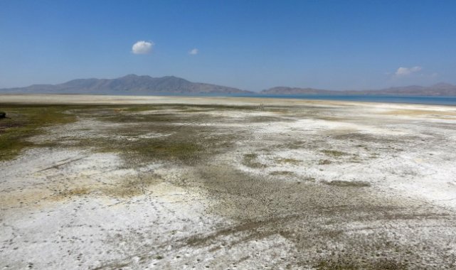 Kuş cenneti Erçek Gölü’nün kıyı şeridi buhar oldu