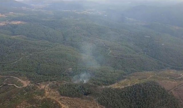 Manisa'da orman yangını