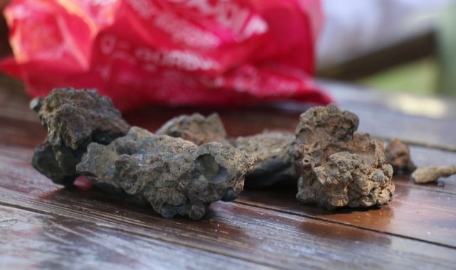 Mantar toplarken bulduğu taşlara gözü gibi bakıyor