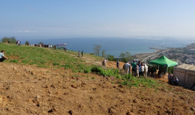 Mezar manzarası için tartıştılar