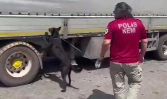 TIR'da, kahve paketlerindeki 158 kilo esrarı 'Uzi' buldu