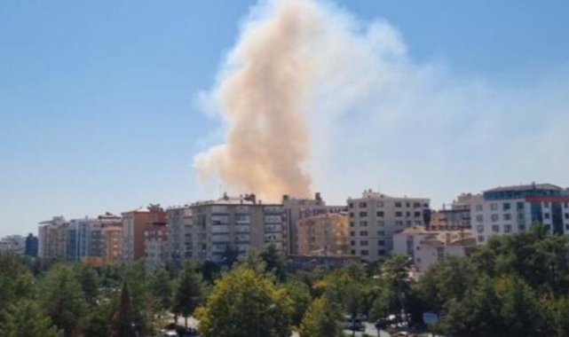 UNESCO listesindeki Hevsel Bahçeleri'nde anız yangını