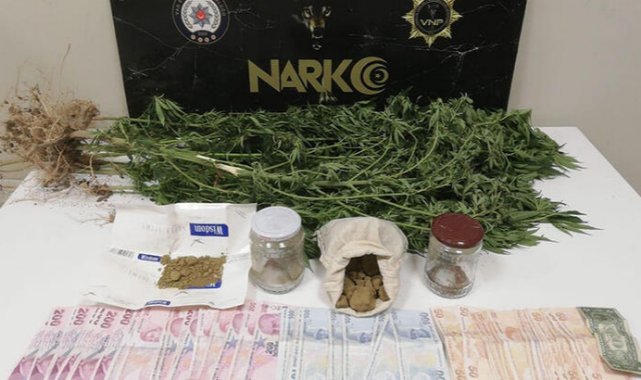 Van'da uyuşturucu operasyonlarına 19 gözaltı