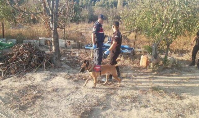 Aydın'da 7 noktada örtü yangını çıkaran şüpheli tutuklandı