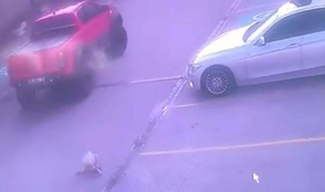 Ciple sokak köpeğinin üzerinden geçti