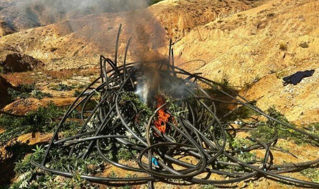 Diyarbakır'da 864 kilogram esrar ve 2 milyon kök Hint keneviri ele geçirildi