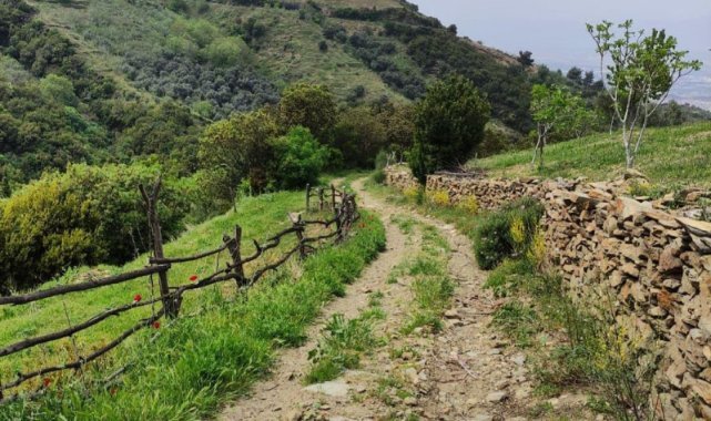 Efeler Yolu En İyi 100 Hikâye listesinde