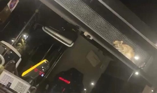 İstanbul'da ilginç olay