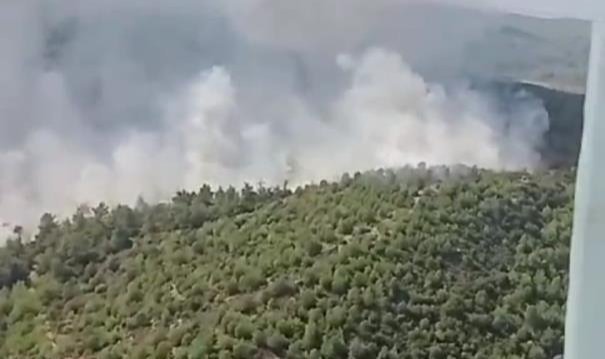 İzmir’deki orman yangınına havadan ve karadan müdahale
