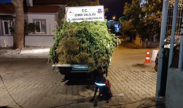 İzmir'deki uyuşturucu operasyonlarına 65 gözaltı