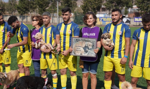 Maça sahiplendirilmeyi bekleyen köpeklerle çıktılar