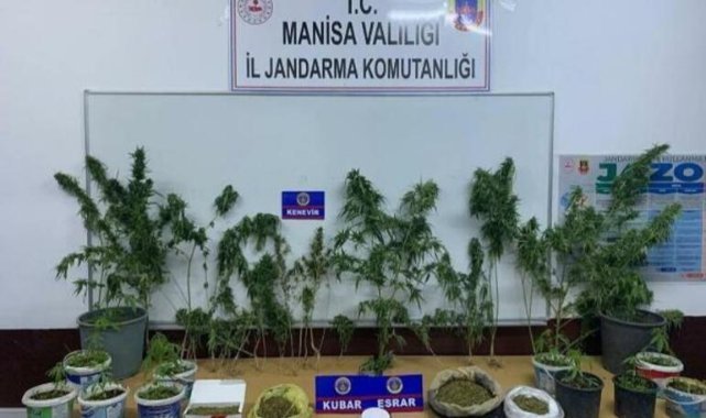 Manisa'da, 64 kişinin yakalandığı uyuşturucu operasyonunda, F serisi 1 dolar da ele geçirildi