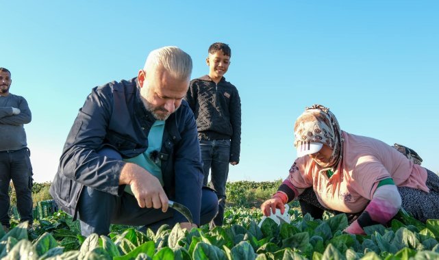 Menemen'de tarladan sofraya birlik Rüzgarı