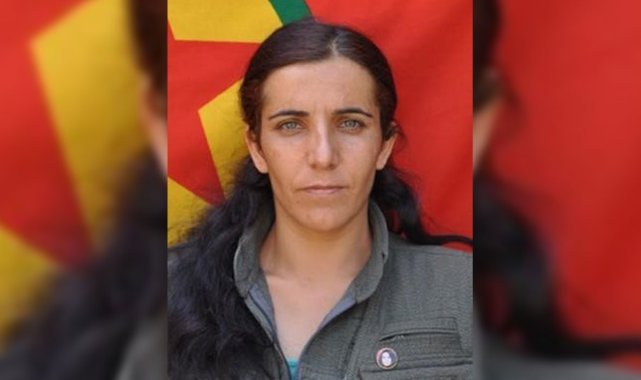 MİT'ten nokta operasyon