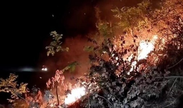 Otluk yangınında alevler demiryoluna sıçradı, yük treni 2 saat raylarda bekledi