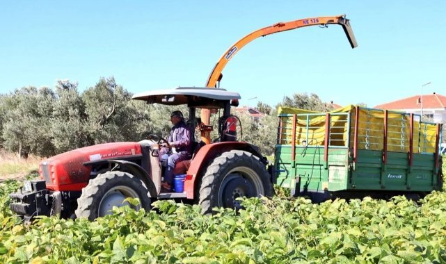 Yerli ve Milli çeşitler hayvancılığa da katkı sağlıyor