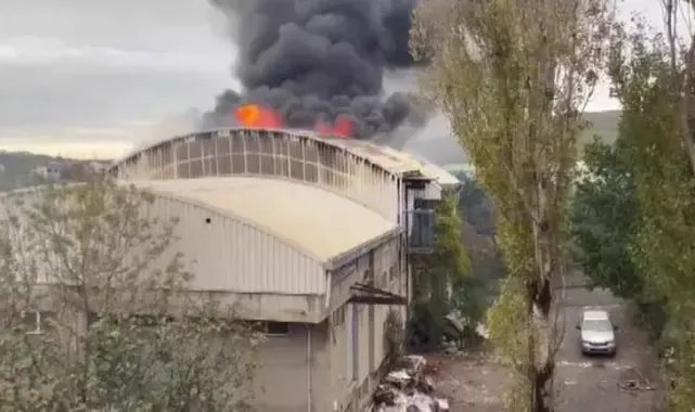 Arnavutköy'de fabrika yangını