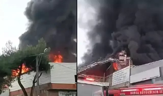 Bursa'da sünger imalathanesi ve deposunda yangın